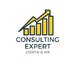 Consulting Expert - Contabilitate & HR online